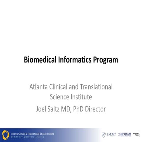 Actsi bip overview jan 2011