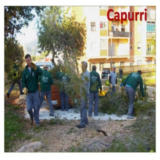 Actuacions forestals a la zona del ...