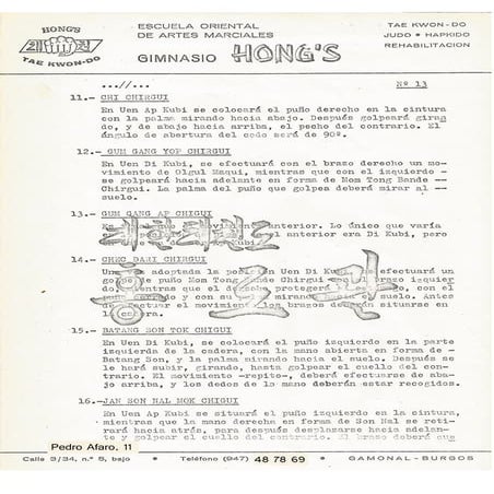 Actualizacion tae kwon do año 1980 13