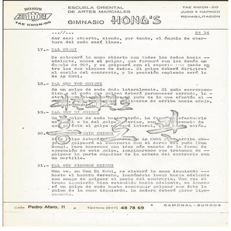 Actualizacion tae kwon do año 1980 14