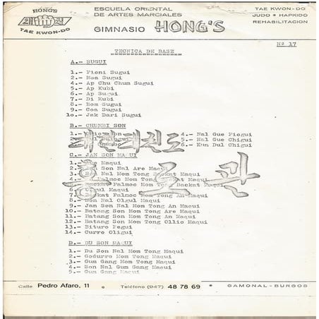 Actualizacion tae kwon do año 1980 17