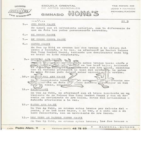 Actualizacion tae kwon do año 1980 9