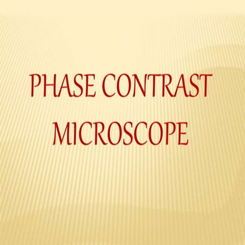 phase contrast microscope