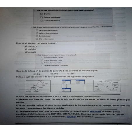 Actvidades de vfp 4to año 50