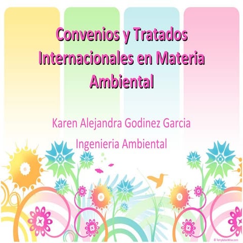 Acuerdos internacionales en Materia Ambiental