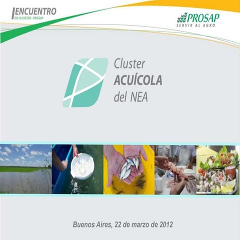 Cluster Acuicola