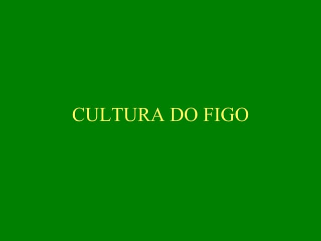 A cultura do figo