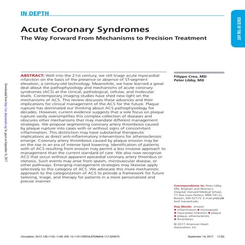 Acute coronary-syndromes-circulation