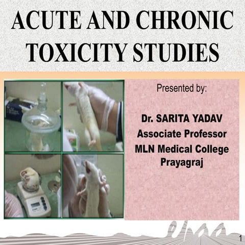 Updates onAcute and Chronic Studies.pptx