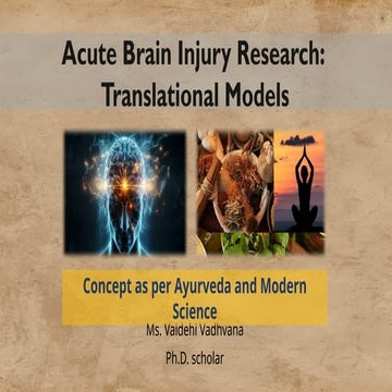 Acute Brain injury research Translational models