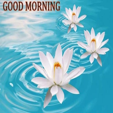 Acute gingival & periodontal infections