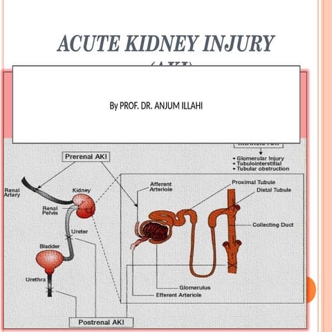 drug induced Kidney injury | PPTX