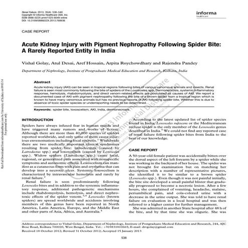 Acute kidney injury with pigment nephropathy following spider bite