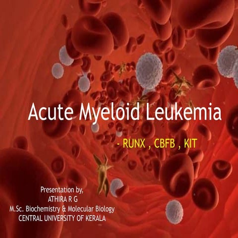 Acute myeloid leukemia