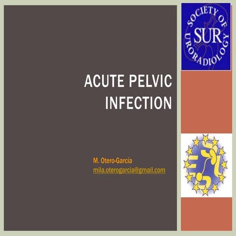 Acute female pelvic infection . ESUR Congress.