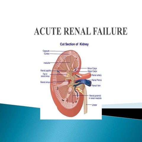 Acute renal failure
