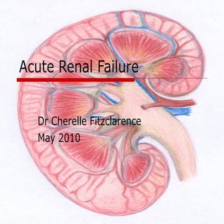Acute renal failure