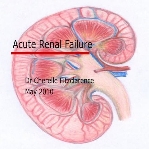 Acute renal failure