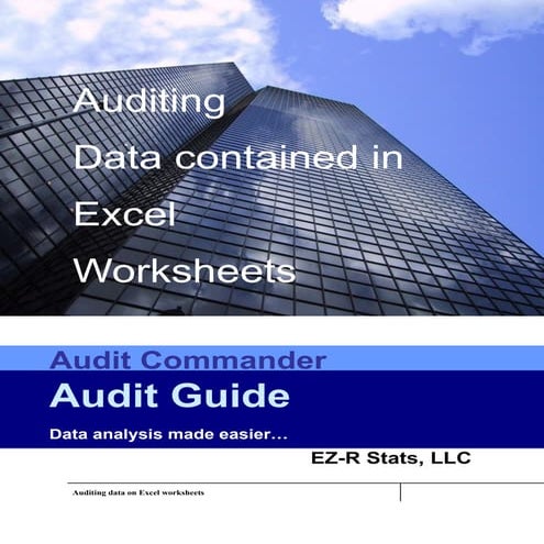Audit Commander Worksheet analyzer