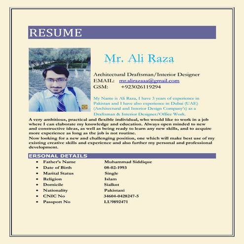Ali Razaaa's CV | PDF