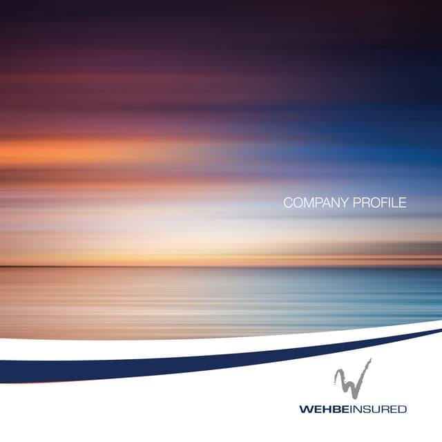 company profile-S20.5 (4)