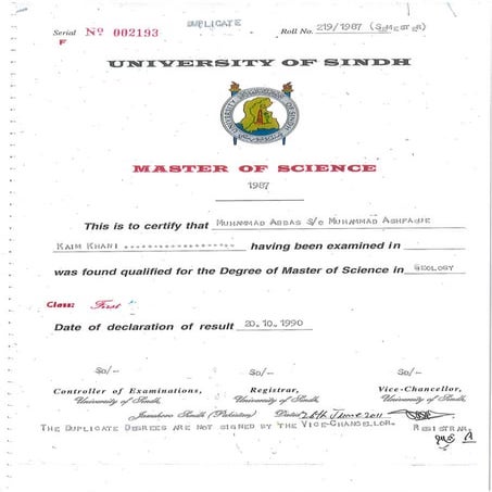 Degree MSC GEO | PDF