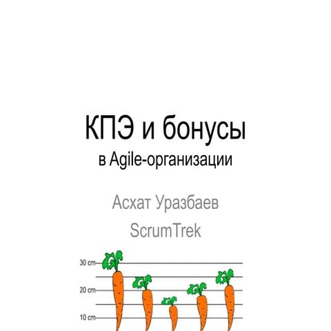 KPI и бонусы
