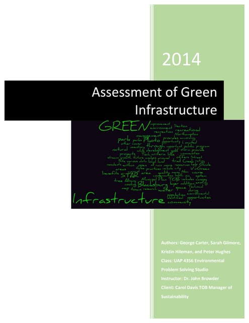 The Role of Green Infrastructure in Sustainable Road Bridge Development ...