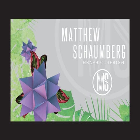 Schaumberg_Matthew