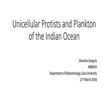 Marine Plankton of the Indian Ocean