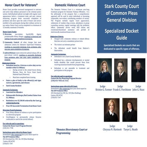 Specialized Docket Brochure. II_1 | PDF
