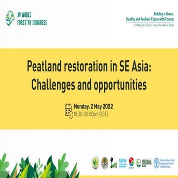 Climate action needs peatlands action! FAO’s work supporting countries