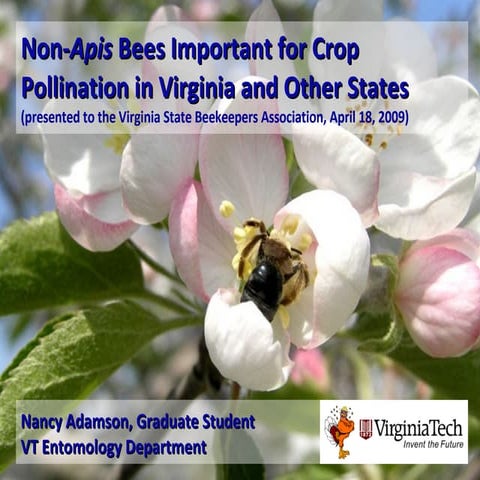 Native Bee Pollinators for Crops