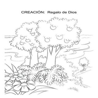 Actividades sobre la Creación