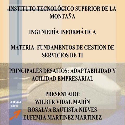 Adaptabilidad y agilidad empresarial(wil rosa-eufe) (1)