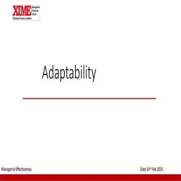 Adaptability, how to be adaptive and efficient manager