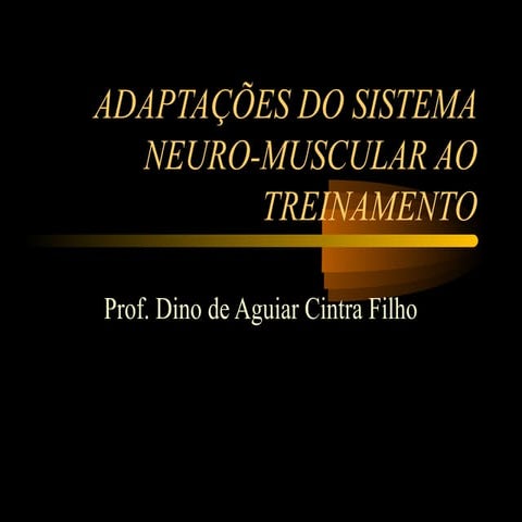 Adaptações do sistema neuromuscular ao treinamento