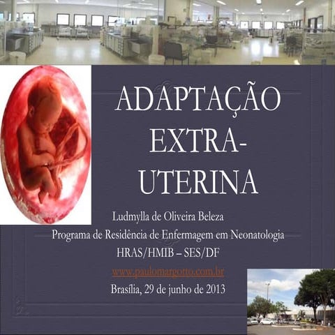 circulacaofetal, circulação fetal, cippt | PPT