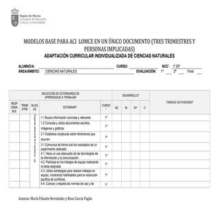 Adaptación curricular individualiza...