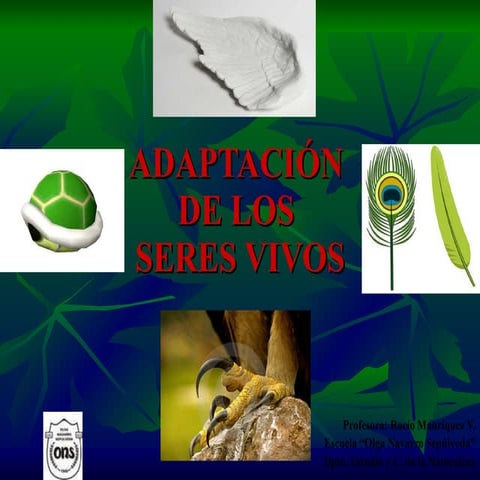 ADAPTACION DE PLANTAS, ANIMALES EN LOS ECOSISTEMAS | PPT