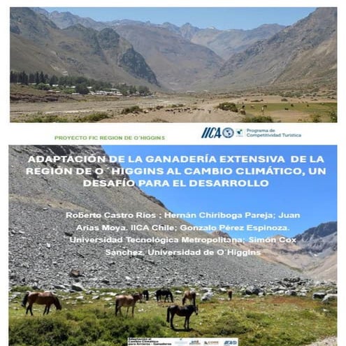 adaptacion-de-la-ganaderia-extensiva-de-la-region-de-o-higgin-al-cambio