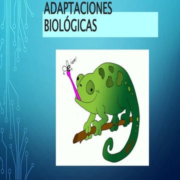 ADAPTACION DE PLANTAS, ANIMALES EN LOS ECOSISTEMAS | PPT