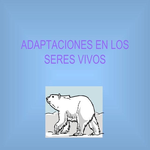 Adaptaciones en los seres vivos