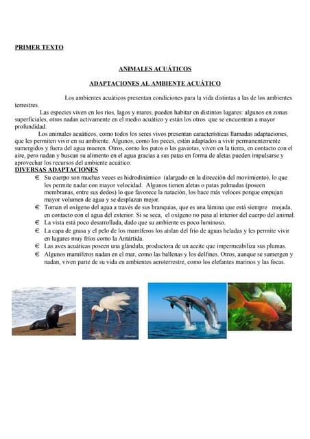 Adaptaciones en ballenas acuáticas