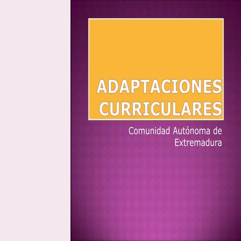 Adaptaciones curriculares