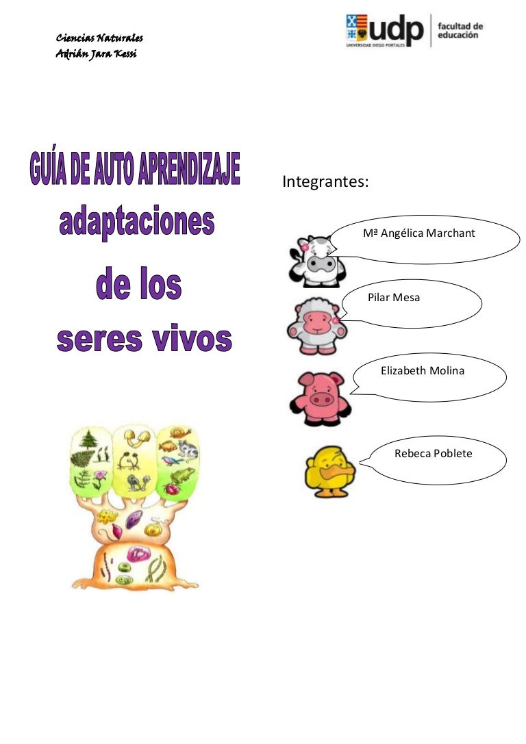 Adaptaciones de lo seres vivos
