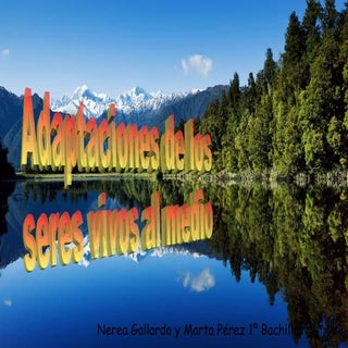 Adaptaciones de los seres vivos al ...