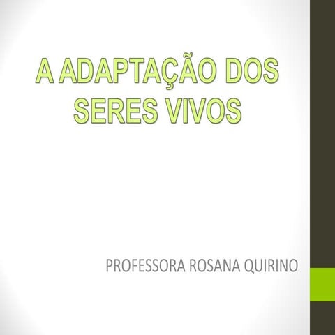 Adaptação dos seres vivos | PPT