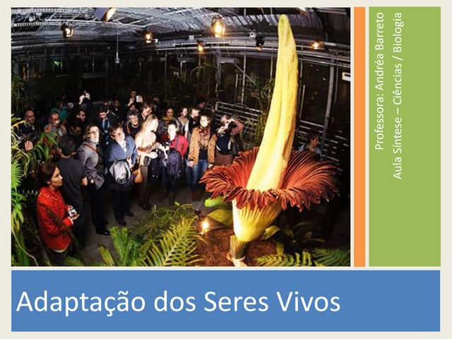 Adaptações dos seres vivos