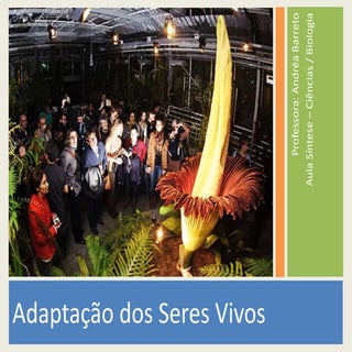 Adaptações dos seres vivos